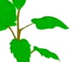 高中生物实验大全