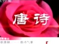 百家讲坛之诗歌唐朝
