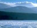 野性欧洲