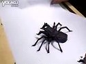 实拍折纸狼蛛全过程