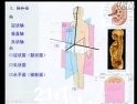 人体解剖学（辽宁省基层卫生人员成人大专学历教育）