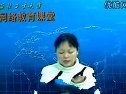 建筑工程预算