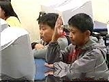 小学课例（自然）