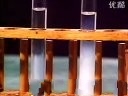 高中化学实验大