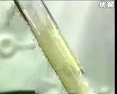 高中化学实验