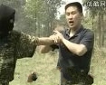被动擒拿格斗