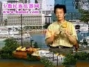 葫芦丝学习教程