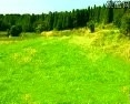 葫芦丝名曲