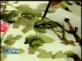 写意牡丹画法
