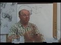 经典人体素描精细示范