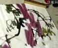 花鸟画技巧