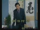 书法学习欣赏视频