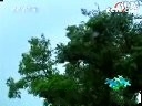 感触生灵(记录片)
