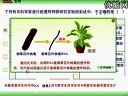 高中生物同步辅导