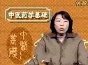 中医药学基础