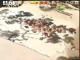 张大林教画写意田园：葡萄园
