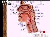 鼻子不通气的原因有哪些