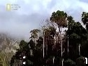 人间伊甸园