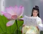李清照