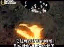 Discovery-百年纪念典藏