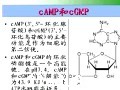 考研西医生化辅导