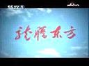 龙腾东方