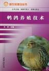鹌鹑的养殖技术视频