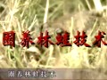经济蛙类养殖