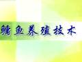 鳙鱼养殖技术