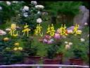 花卉栽培技术视频教程