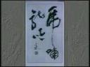 杨再春行草书法视频教程