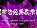 书法经典教学视频
