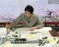 跟詹老师学花鸟画视频