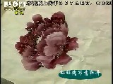 写意牡丹系列讲座(入门篇)