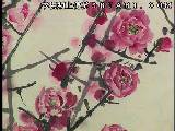 写意梅花系列视频讲座