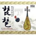 琵琶实用教程视频