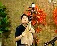 琵琶入门学习（张强）