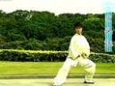 陈式太极拳56式分解教学视频