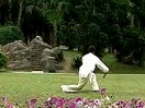 中级华武太极扇教学视频