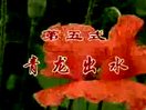 陈氏太极拳32式摔法