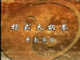 杨式太极拳竟赛套路视频教程