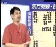 曹志林围棋快速<em>入门</em>教程