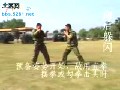 中国特警擒拿格斗