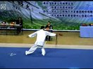 赵正元太极拳锦集