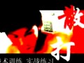 实用散打视频教程