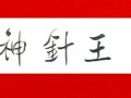 神针王中医针灸学教程