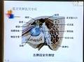 五官科护理学
