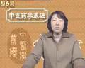 中医药学基础视频教程