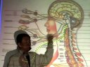 钟士元脊柱相关疾病讲座