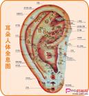 耳朵泄露的秘密视频